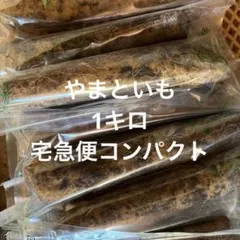 大和芋 やまといも 1キロ 宅急便コンパクト 群馬県産 農家直送
