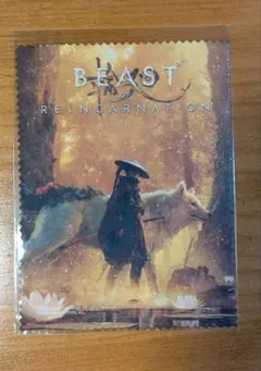 BEAST OF REINCARNATION マルチクロス