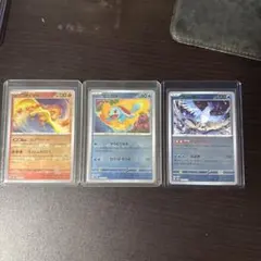 ゼニガメマスボ&ファイアーマスボ&フリーザーマスボ