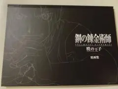 鋼の錬金術師 FULLMETAL ALCHEMIST 暁の王子原画集