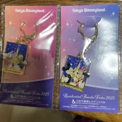 東京ディズニーランド キーホルダー 2025