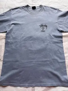 Stussy グレイッシュライトブルー　Tシャツ