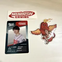 【最終値下げ】VALORANT ステッカー&カード MRG ふぇに男 TENNN