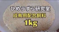 1kg ひめうずら雛の餌 雛用 ヒメウズラ 鳥 姫うずら 鳥の餌 - メルカリ
