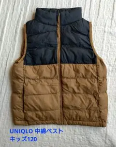 ベスト ダウンベスト