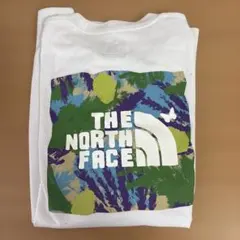THE NORTH FACE 長袖Tシャツ