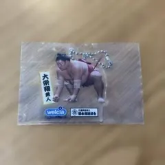 大栄翔 アクリルキーホルダー　非売品　ウェルシア
