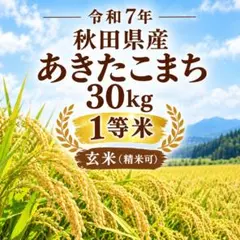がしゃん　5分搗き精米　小分けなし がしゃん様専用 5分搗き精米 小分けなし - メルカリ