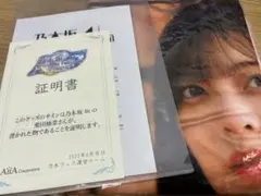 乃木坂46 柴田柚菜　サイン入りチェキ 12枚セット 乃木坂46 柴田柚菜サイン入りチェキ 乃木坂46 柴田柚菜 サイン入りチェキ