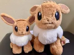 ポケモン くたくたたった! ぬいぐるみ S Mイーブイ セットのサムネイル