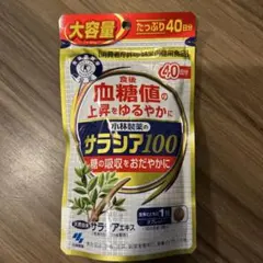 Item thumbnail for item 4709cbb9-b88b-4975-a526-6c59ba48531f