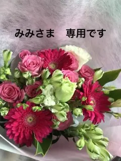 みみさま専用 ラボット ワンピース・ケープ