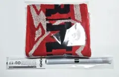 ランペ RAMPAGE RMPG アプグレ グッズ タオル フラッグのみ