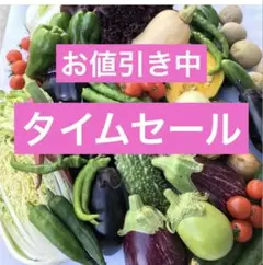 タイムセール　朝採り新鮮野菜詰め合わせ　80サイズのサムネイル