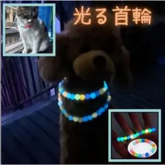 光る 首輪 犬 猫 カラフル お散歩 安全対策 樹脂 内蔵ゴム オシャレ
