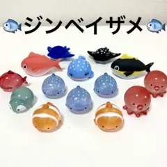 ジンベイザメ 水族館 海の生き物 ジンベイザメ タコ タイ ペンギン クマノミ
