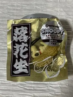 スヌーピー 全国おいしいものアクセサリー ☆水戸納豆☆ - メルカリ