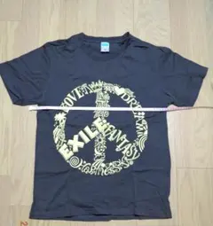 EXILE FANTASY 2010 チャコールグレー Tシャツ