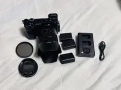 ★SONY a6400★点検・交換済み★ミラーレス一眼 ★本体★予備バッテリー ☆SONY a6400☆点検・交換済み☆ミラーレス一眼 ☆本体☆予備バッテリー