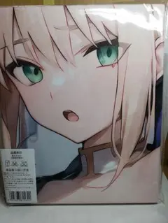 Fateセイバー オルタシークレットタオルタペストリー