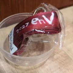 稲葉浩志 LIVE 2026-2027 〜enV〜　ガチャ　ストラップ