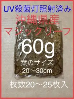 とし　リピート価格　ももたまな葉　1000　枚 モモタマナ - Wikipedia