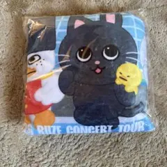 RIIZE 東京ドーム　アプグレ特典　ブランケット