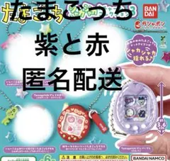 k*y様 たまごっち シャカシャカチャームコレクション3 ２個セット
