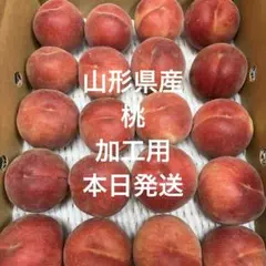 山形県産　桃　加工用のサムネイル