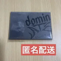 スキズ アップグレード特典 エコパスタジアム フォトカード トレカ