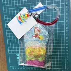 TDR TDL ディズニーリゾート チップとデール かき氷 パスケース 夏祭り