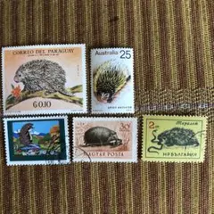 世界のハリネズミが図柄の切手５種　癒されます！パラグアイ、オーストラリアなど