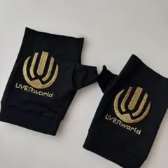 UVERworld 指ぬき 美品　グローブ ブラック ゴールド刺繍のサムネイル