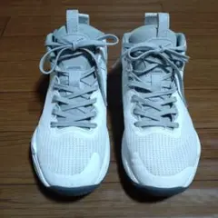 アシックス ノヴァ サージ 3 GS バスケットボールシューズ　ジュニア25cm