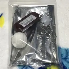 Item thumbnail for item adbc3f50-7f14-450c-a903-2d099ed803b8