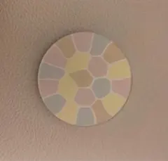 Item thumbnail for item b57bb687-8346-444f-8231-1c570825c96b