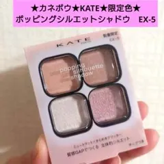 カネボウ★ケイト★ポッピングシルエットシャドウ　EX-5★アイシャドウ