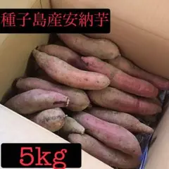 種子島産安納芋5kgさつまいも焼き芋にどうぞ超希少#870