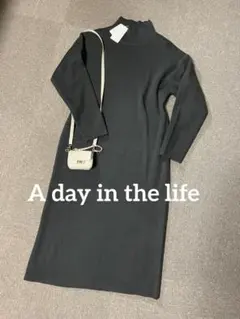 A DAY IN THE LIFE タートルネックニットワンピースフリーサイズ