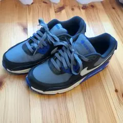 Nike Air Max GORE-TEX　24.5cm