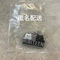 MINITEEN めじるしアクセサリー オーシーエル ジュン SEVENTEEN