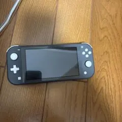 Nintendo Switch Lite グレー 本体