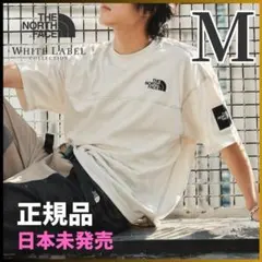 韓国限定 THE NORTH FACE ロゴ ステッチ Tシャツ ブラウン XL - メルカリ