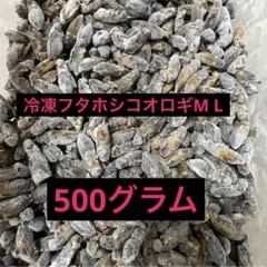 国産】冷凍ヒヨコ 200羽 ふわふわ鮮度抜群！ - メルカリ