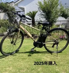 福岡県久留米市引き取り限定 ペルテックTDA-712L - メルカリ