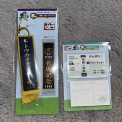 新品・未使用トウカイテイオー号 優勝レイキ ーホルダーメモ