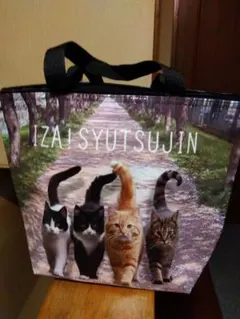 단열 가방, 고양이 무늬 토트 백, 쇼핑, 도시락 쿨러 백, 이제 갈 시간입니다!