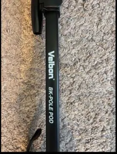 Item thumbnail for item 6ca72669-8bfa-4303-9508-ab3fa5391e43