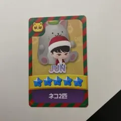 SEVENTEEN WORLD TOUR NEW パズル パズチ ジュン トレカ