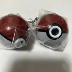 ポケモン　プロジェクターライト　メガリザードンX メガフシギバナ